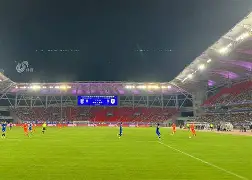 雷火竞技-F1联赛掀起高潮，云贵雷豹队大胜渝州雄狮队，战至最后一刻——韧性与执行并存的简单介绍